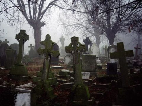 Саратовский суд разрешил оформить кладбище-«самострой»