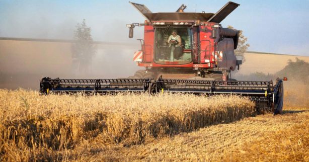 Чиновники обещают Бусаргину собрать не менее 4,5 млн тонн зерновых