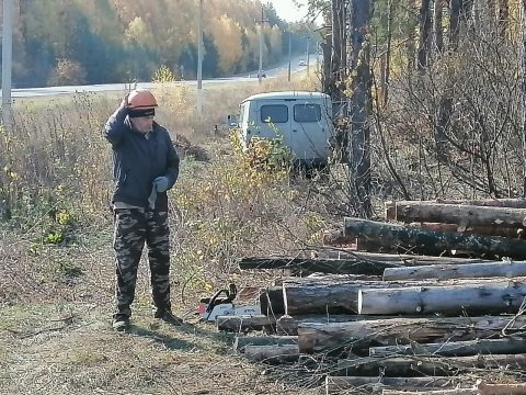 Бусаргин пожертвовал лесной отраслью ради скандального министра