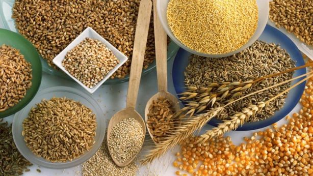 Турковская фирма пыталась оформить по «левым» декларациям больше 500 тонн пшеницы и подсолнечника
