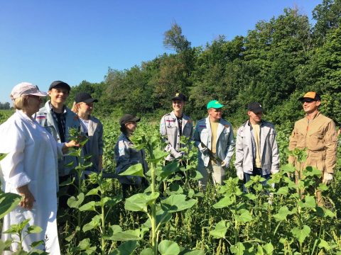 Студентов аграрного университета отправят учиться в поля Аткарского района