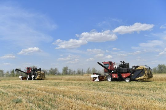 Пугачевские фермеры обошли треть российских регионов по сбору зерна