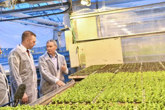 Саратовский губернатор считает нормой 41 грамм овощей на человека в сутки