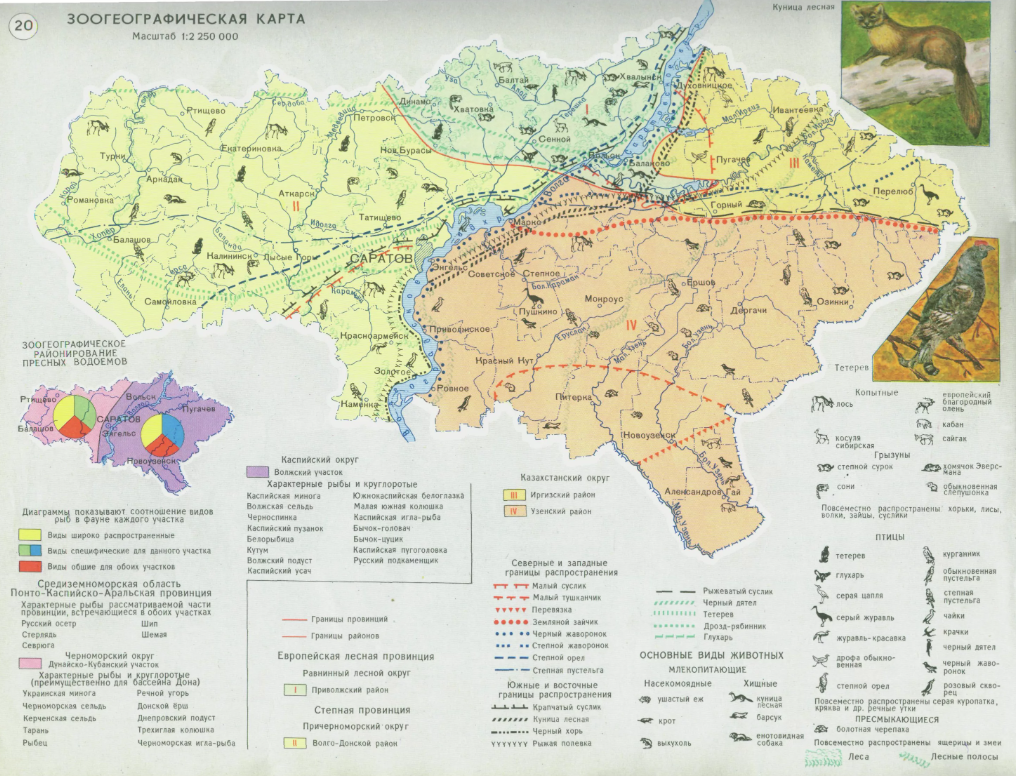 Карта лесов саратовской области