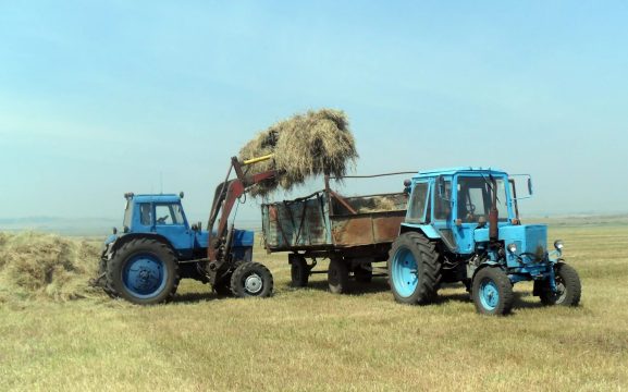 Беларусь обеспечивает шестую часть продовольственной безопасности РФ