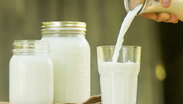 Министр пообещал увеличить надои молока на 0,1% в 2023 году