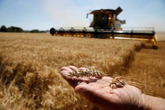 Из Саратовской области вывезли почти 400 тысяч тонн зерновых