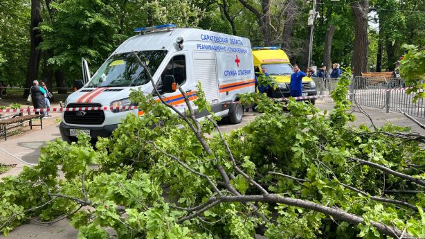 Рухнувшее в Горпарке дерево убило двух человек, трое ранены