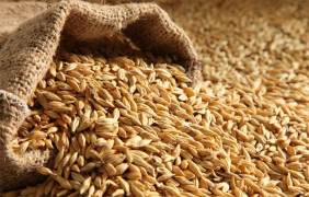 Пошлина на экспорт пшеницы приближается к 5 тысячам рублей