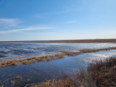 Бусаргин раздаст 16 миллионов на ремонт ничейных дамб, плотин и мостов