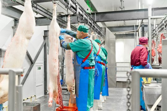 Россельхознадзор ввел в отношении новопушкинского мясокомбината усиленный лабораторный контроль