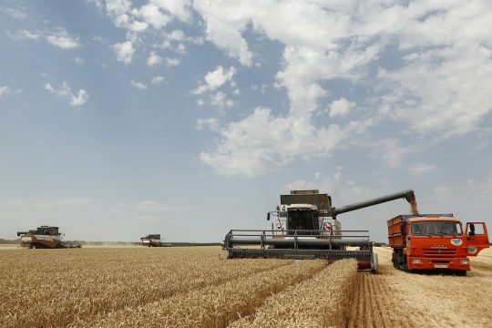 Саратовские аграрии намолотили первые 100 тысяч тонн зерна