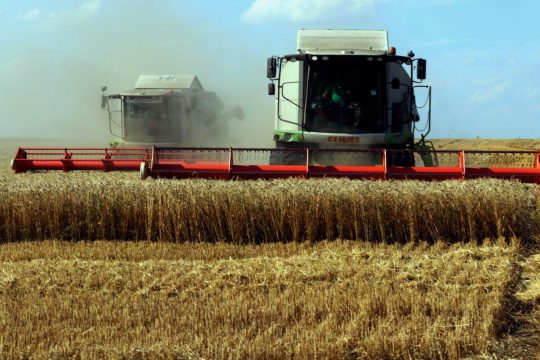 Саратовские аграрии собрали более 170 тысяч тонн зерна