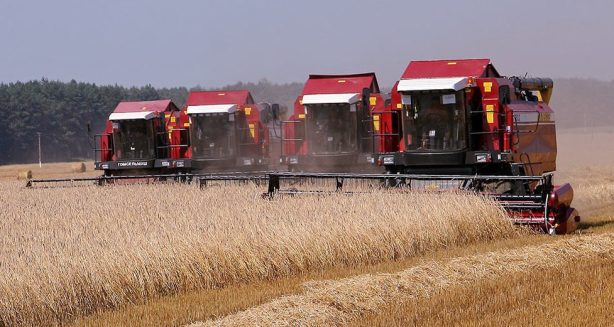 В Саратовской области собрано 255 тысяч тонн зерна