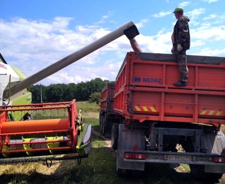 Урожай-2023: аграрии Пугачёвского района первыми собрали 100 тысяч тонн зерна