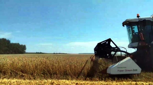 Урожай-2023: скоро будет первый миллион тонн саратовского зерна