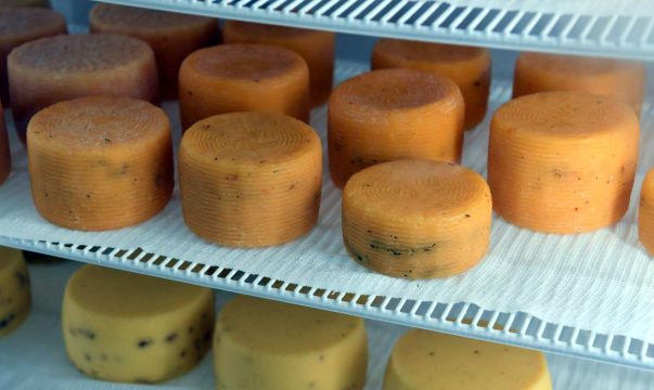 В сельхозартели «Новые Выселки» Калининского района Саратовской области началось производство сыра