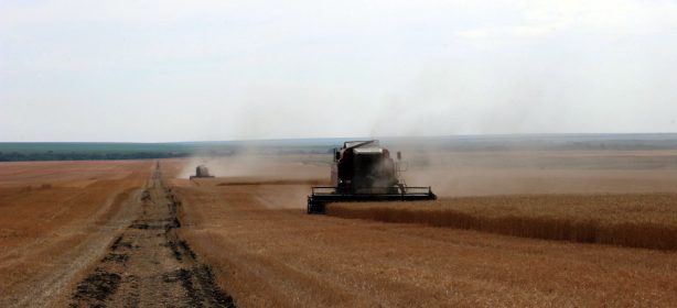 В Саратовской области собрано более 1 млн. 237 тыс. тонн зерна нового урожая