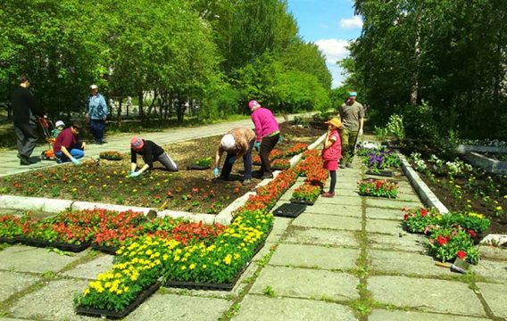 Губернатор сообщил о выделении денег на озеленение Саратова