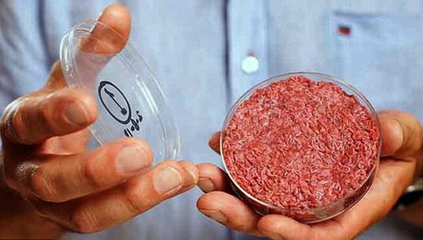 Может ли культивируемое мясо завтра стать пищей для миллиардов жителей Земли?