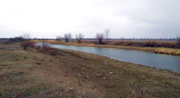 В Саратовской области расчистят Жидкую Солянку