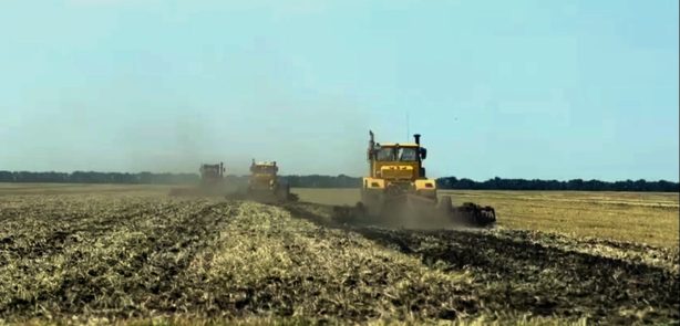 В Саратовской области обмолочено 37,4 процента посевов зерновых и зернобобовых культур