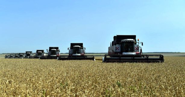 Аграрии Саратовской области приближаются к валовому сбору 3-х миллионов тонн зерна