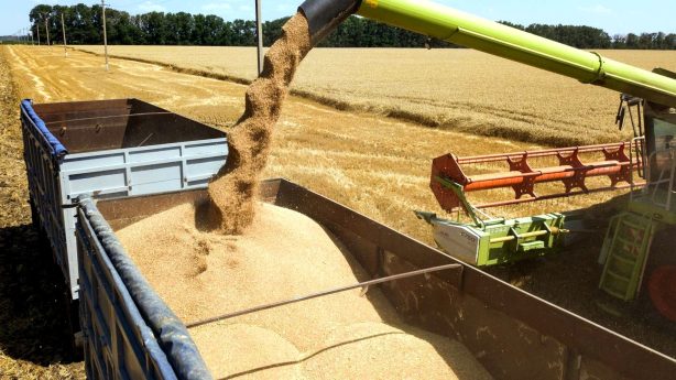 Хлеборобы Саратовской области собрали 3 миллиона 76 тысяч тонн зерна