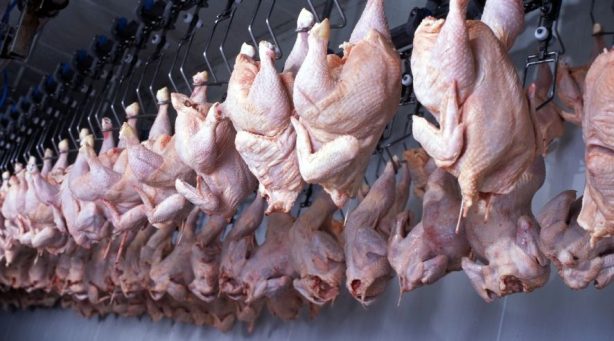 За неделю мясо курицы в России выросло в цене на 5 процентов