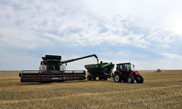 <strong>В Саратовской области собрано более 4,5 миллионов тонн зерна</strong>