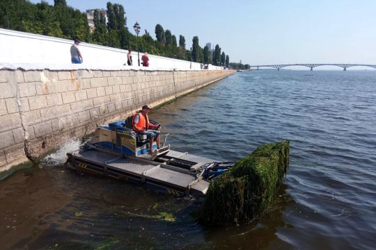Губернатор Бусаргин потребовал заняться очисткой акватории Волги у набережной Саратова