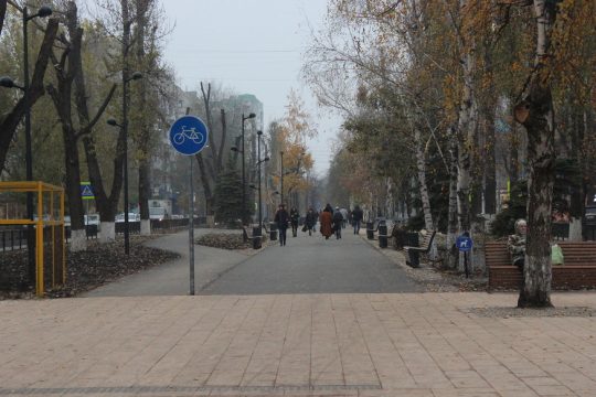 Городские контролеры Саратова выявили нарушения при благоустройстве улицы Рахова