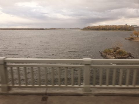 Обмелевшая Волга может замерзнуть на текущем уровне зимой. Что будет с экологией реки
