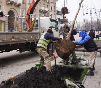 В центре Саратова завершается высадка саженцев гибридного вяза