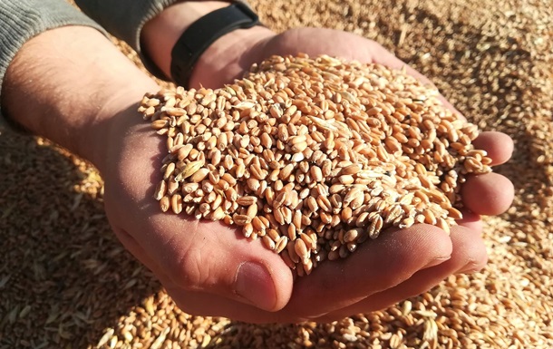 Чиновники минсельхоза хотят полностью запретить импорт семян