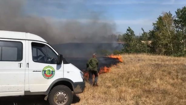В Саратовской области в этом году горели почти 200 га лесов