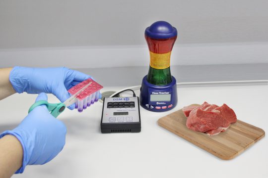 Россияне разработали экспресс-тест на свежесть мяса