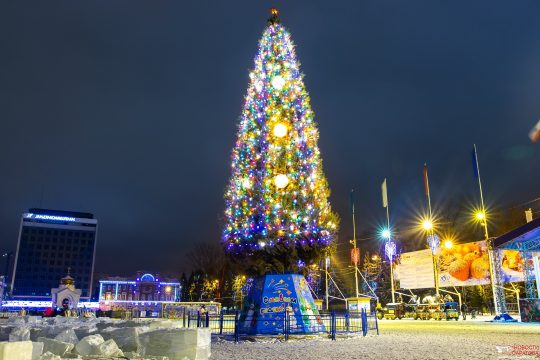 Стали известны основные параметры главной новогодней елки в Саратове