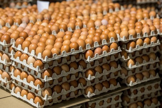 Саратовская область по ценам на куриное яйцо занимает третье место в ПФО