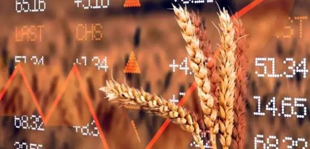 Россия диктует цены на мировом рынке зерна