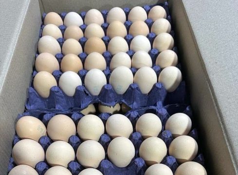 ФАС: цены на пищевое куриное яйцо снизятся в течение полутора месяцев