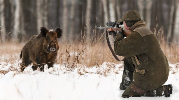 В России ожидается введение обязательного охотничьего минимума