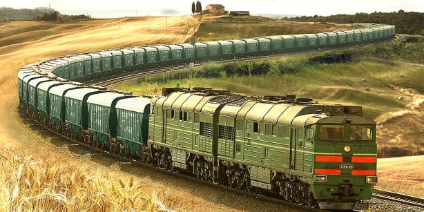 В 2023 году перевозки зерна по «Российским железным дорогам» достигли рекордных показателей
