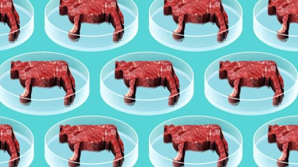 В штате Аризона пытаются запретить производство искусственного мяса