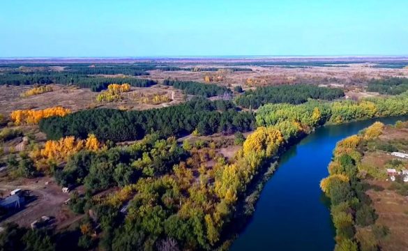 «Дьяковский лес» превратится в зону научных исследований и центр притяжения экологов
