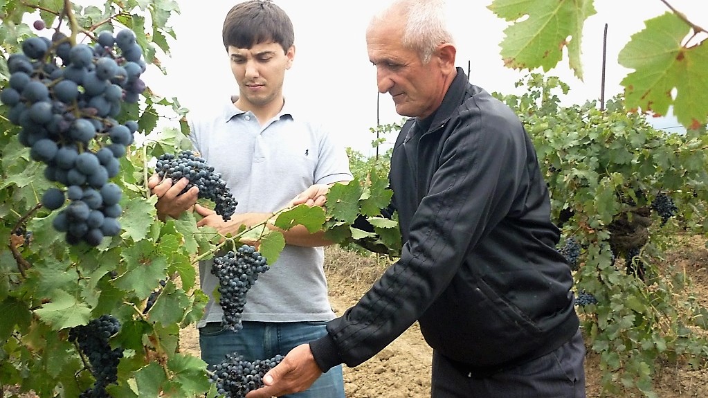 В Саратовской области большой объём розничного алкоголя может продаваться вне системы государственного контроля