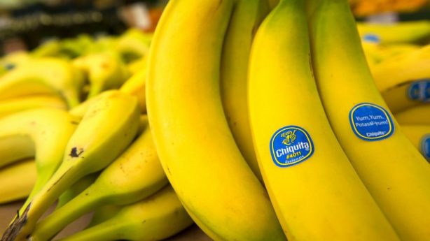 Как Россия и Эквадор договаривались о возобновлении поставок бананов