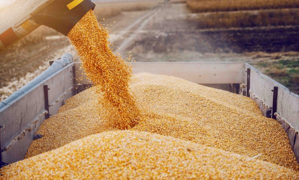В РФ распределены доли участия в поставках зерна
