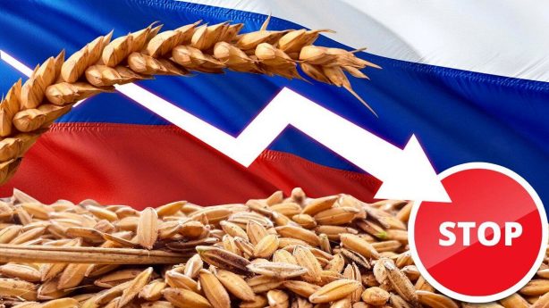 Евросоюз ограничивает ввоз в страны ЕС сельхозпродукции из России и Беларуси, но —выборочно