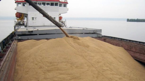 В апреле  из Саратовской области отгрузили зерна в 27 государств